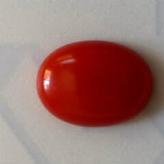 radish432 radish432