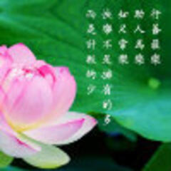旭龙 旭龙