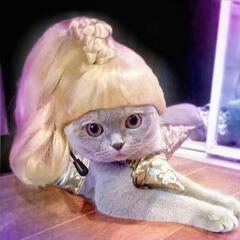 小佛爷哟 小佛爷哟