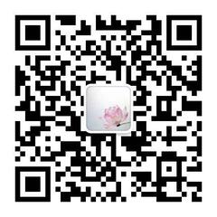 如风大师兄 如风大师兄