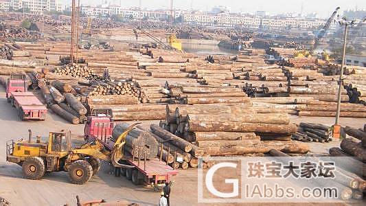 探索:缅甸政府限定明年木材砍伐量对我国木材市场的影响